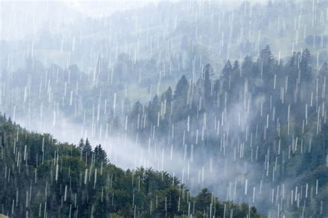 下大雨图片|下大雨图片